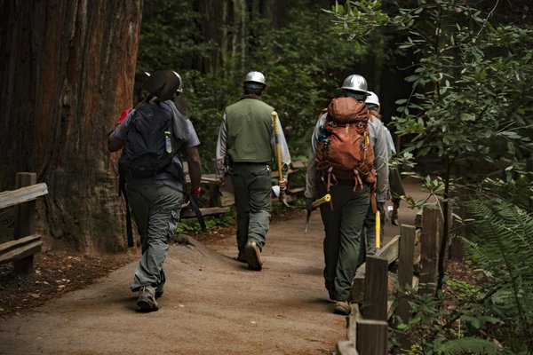 Tire-fort forestier : les critères d'achat de l'équipement